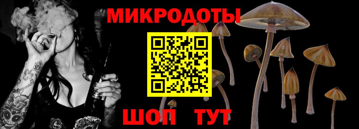 Галлюциногенные грибы MAGIC MUSHROOMS  Вход с VPN  где купить наркоту  Углич  Галлюциногенные грибы прущие грибы 