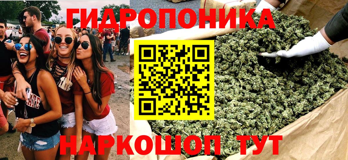 МАРИХУАНА план Углич